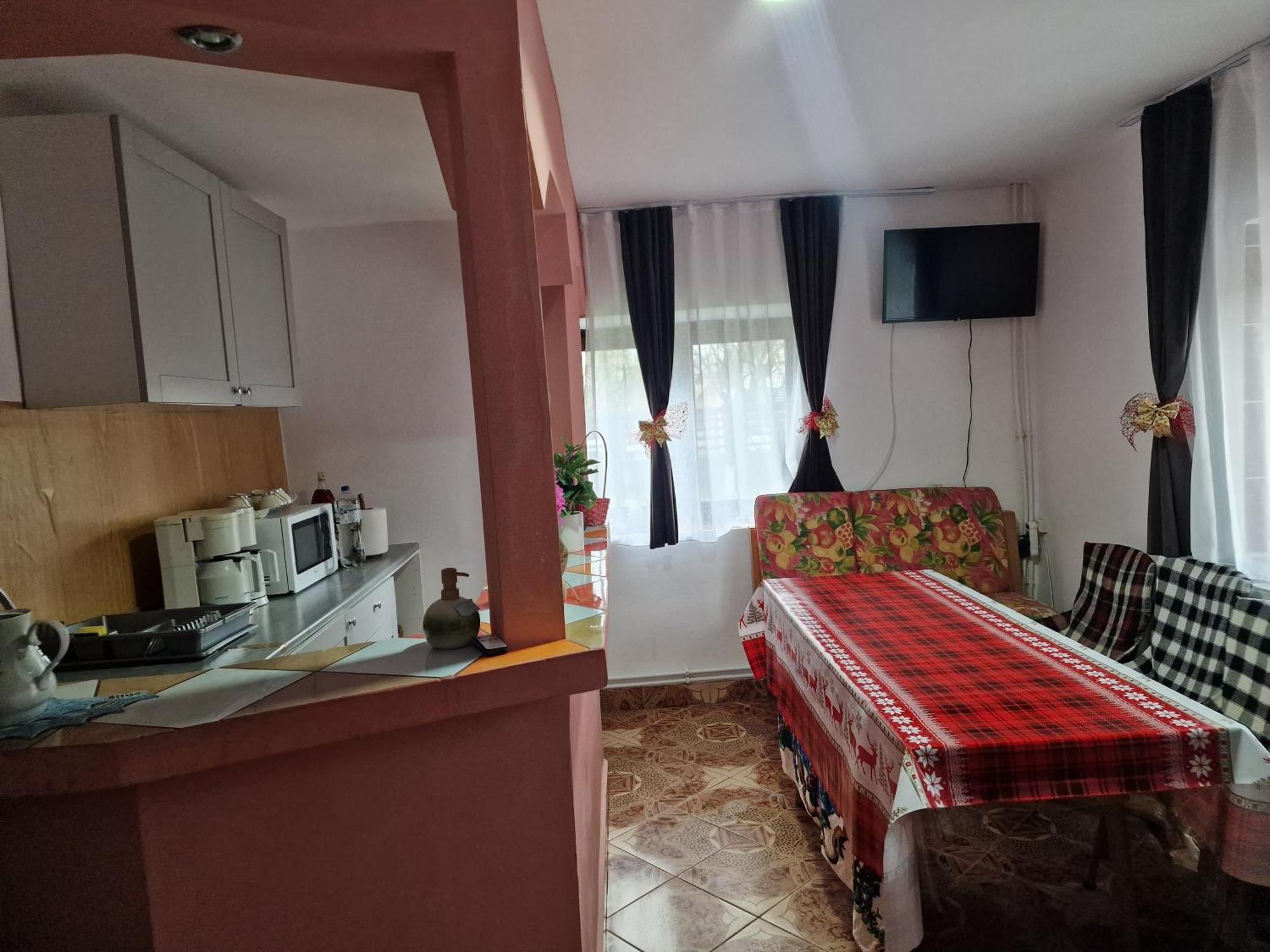 فيلا Casa Roxana Viseu de Mijloc المظهر الخارجي الصورة