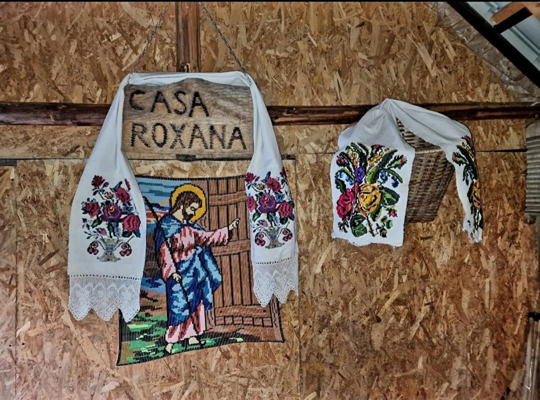 فيلا Casa Roxana Viseu de Mijloc المظهر الخارجي الصورة