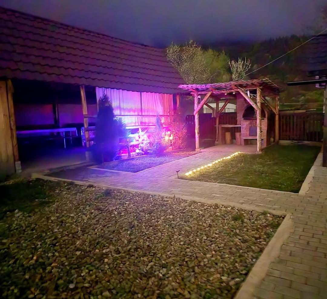 فيلا Casa Roxana Viseu de Mijloc المظهر الخارجي الصورة